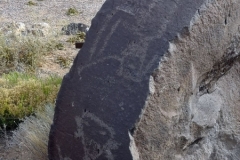 oznor