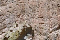 oznor