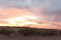 Big Bend National Park00424