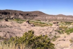 aBig Bend State Park00067