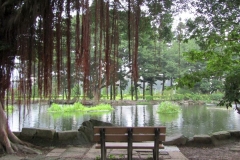 CKSGardens (11)