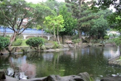 CKSGardens (12)