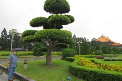 CKSGardens (2)