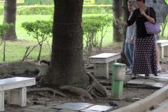 CKSGardens (23)
