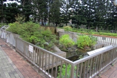 CKSGardens (4)
