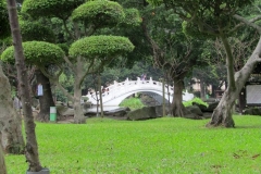 CKSGardens (5)