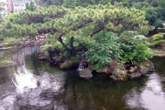 CKSGardens (9)