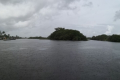 Everglades croc watch 043