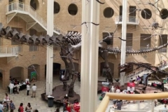 AtlantaFernBank047