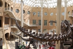 AtlantaFernBank049