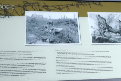 02-Fromelles-8-Nov-00217