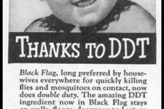 Advert-black-Flag