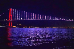 0727-2022-Bosphorus-Dinner-Cruise-Istanbul-39