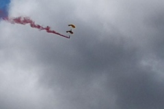 oznor_vivid