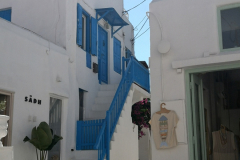 00220-Mykonos-Shanes