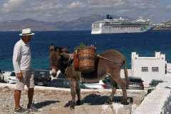 01340-Mykonos-Shanes