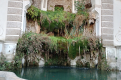 Post-Colloseum-Walk-000196