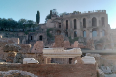 Post-Colloseum-Walk-000231