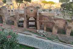 Post-Colloseum-Walk-000413