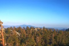 oznor