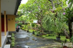 Peaceful GardenBali049