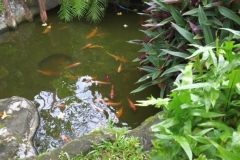 Peaceful GardenBali069