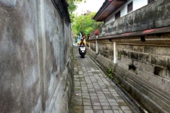 Peaceful GardenBali075