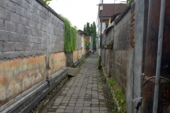 Peaceful GardenBali079