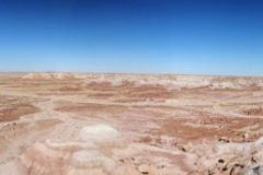 PetrifiedForest-00199