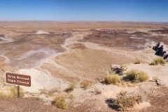 PetrifiedForest-00259