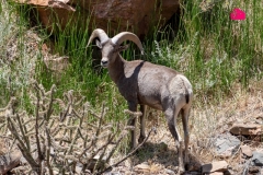 Pueblo-Co000227