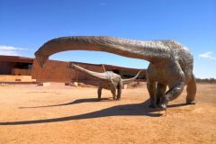 0495-Australian-Age-of-Dinosaurs-32