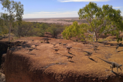 0523-Australian-Age-of-Dinosaurs-36