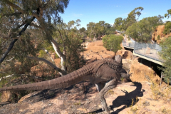 0544-Australian-Age-of-Dinosaurs-40