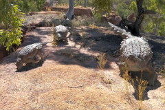 0551-Australian-Age-of-Dinosaurs-41