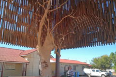 0187-Barcaldine-Tree-of-Knowledge-3