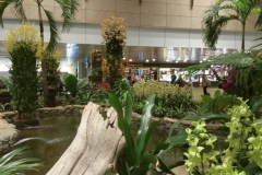 Singapore-Airport2016 (23)283