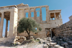 00216-Parthenon