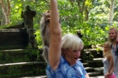 Ubud Monkey Forest Bali179