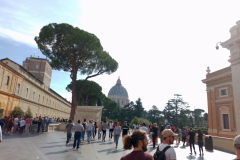 Vatican-000056