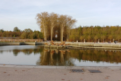 Versaille-Palace-Garden-000235