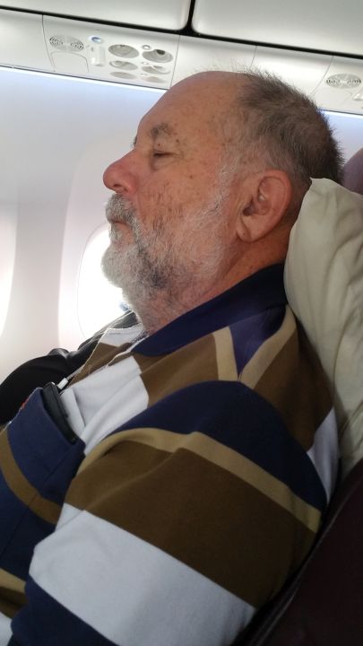 Asleep in plane