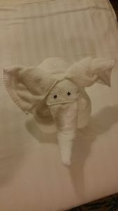 Towel-Animal 07