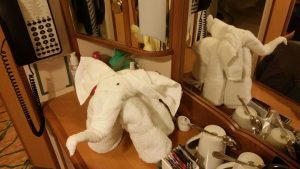 Towel-Animal 08