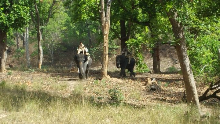 Kanha Earth Safari-13-06-16-036