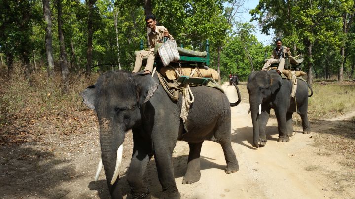 Kanha Earth Safari-13-06-16-041