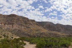 Big Bend National Park00207