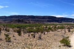 Big Bend National Park00529