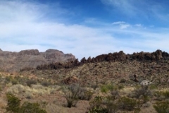 aBig Bend State Park00242