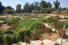 0420-Temple-of-Artemis-5